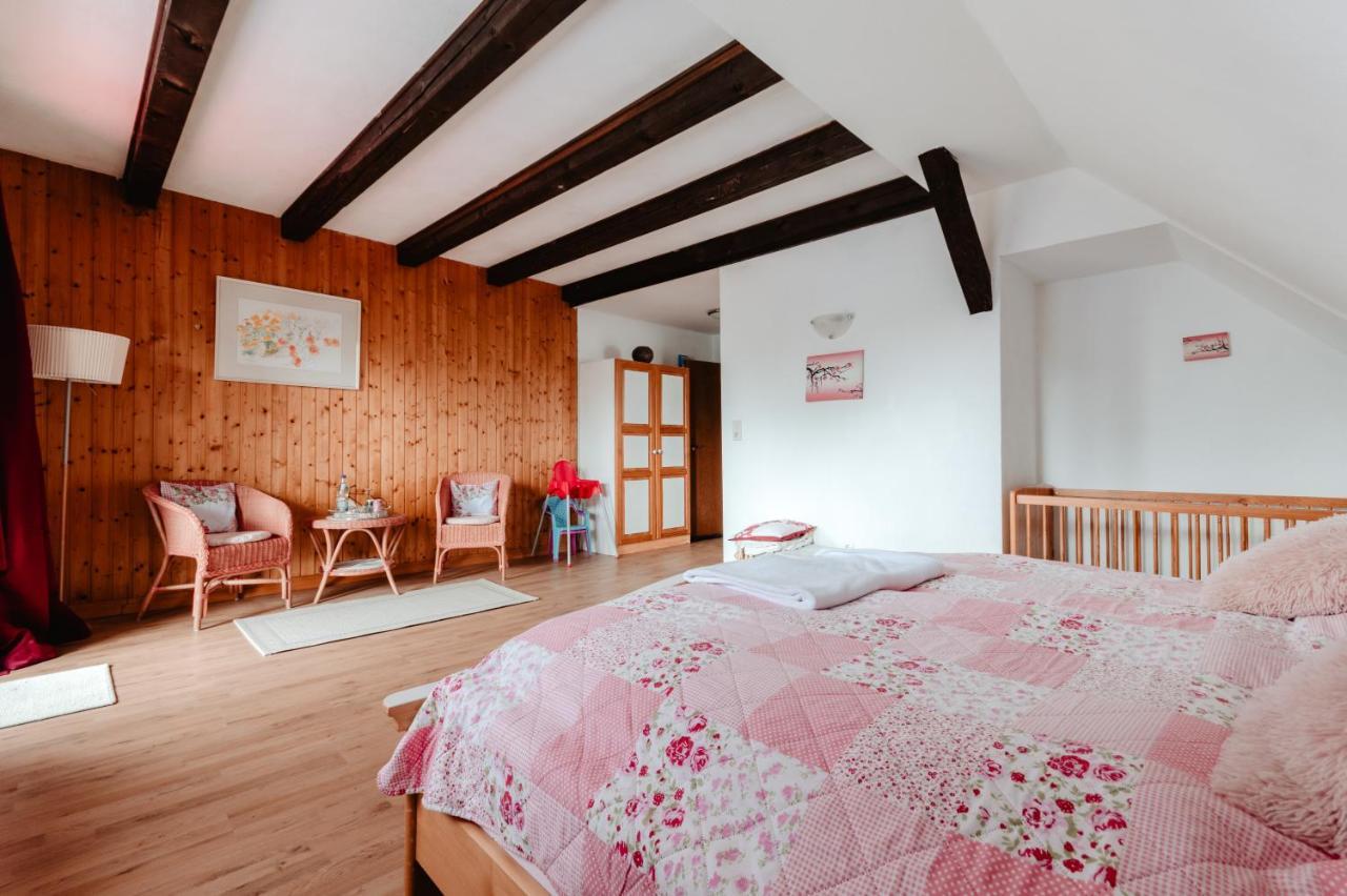 Olifant In Osterode Apartment Osterode am Harz Екстериор снимка