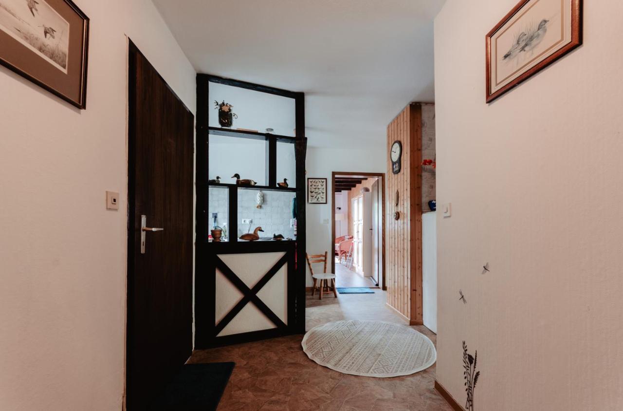 Olifant In Osterode Apartment Osterode am Harz Екстериор снимка